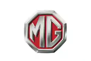 mg.webp