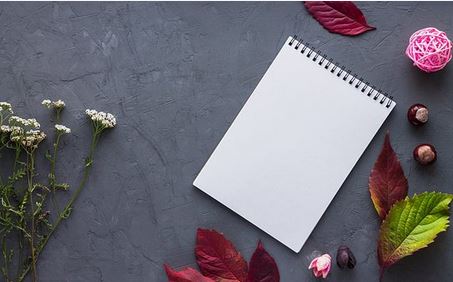 secretarial compliance report
