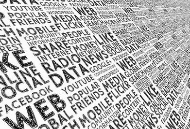 shareholder information